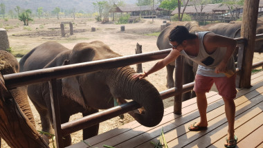 Thaïland - Kanchana Buri - ElephantWorld (refuge)