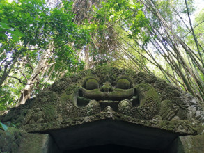 Indonesia-Bali (Ubud/Monkey forest)