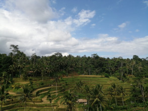 Indonesia-Bali (Ubud)